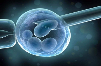 新疆格鲁吉亚ReproArt诊所专家解释取卵对卵巢的伤害大吗？