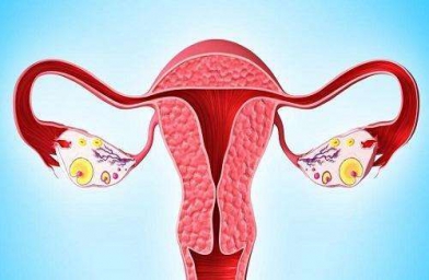 新疆格鲁吉亚ReproArt诊所专家解释取卵后卵巢该如何保养？