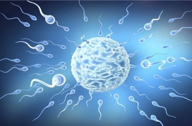 新疆男性精子很差还可以试管婴儿吗？-备孕试管不孕不育知识