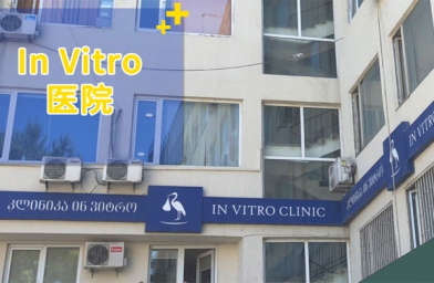 新疆格鲁吉亚试管助孕医院Invitro生殖中心-备孕试管不孕不育知识
